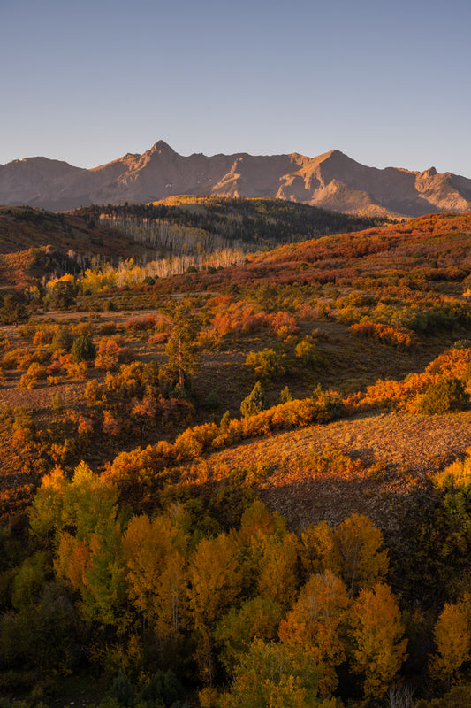 September Dawn